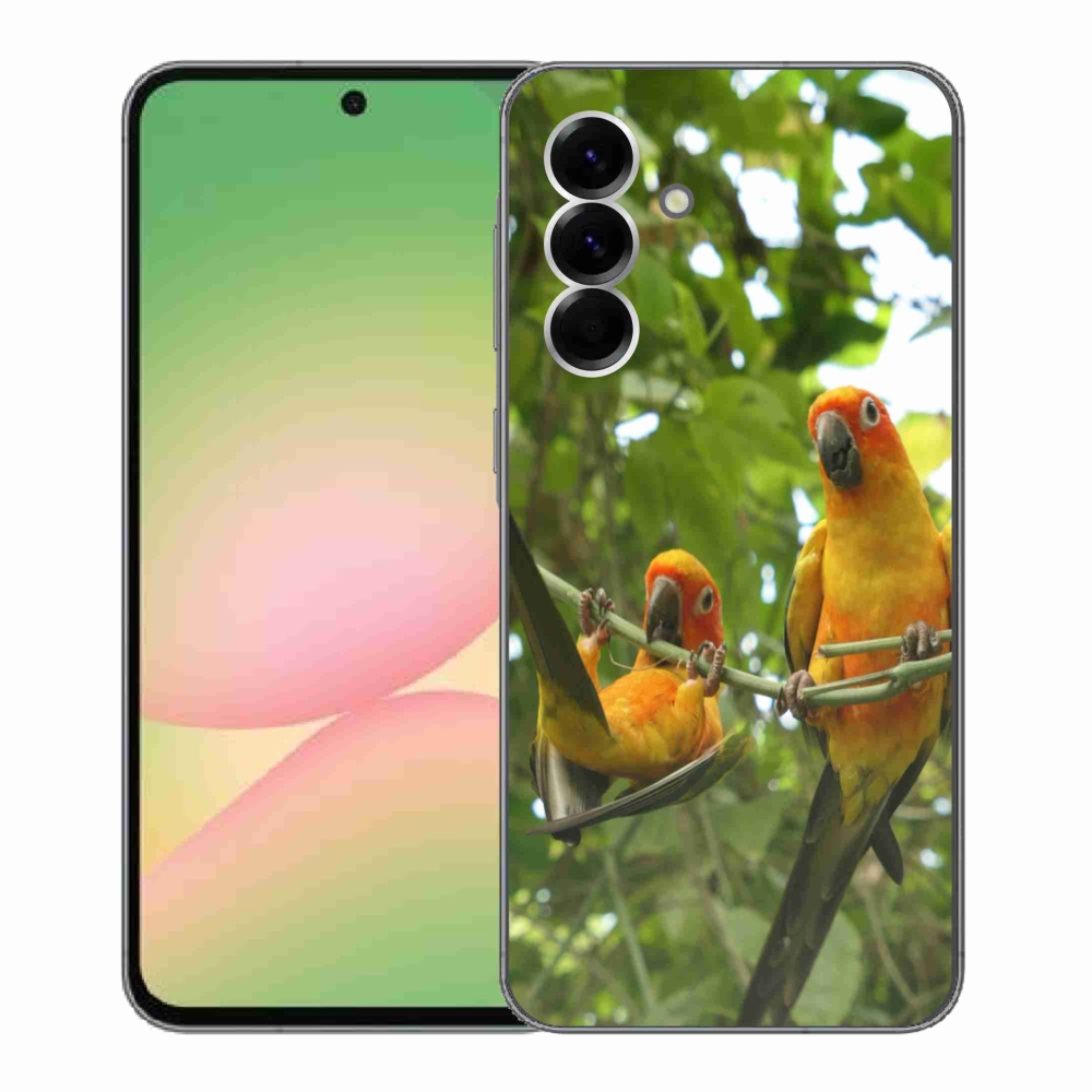 Gelový kryt mmCase na Samsung Galaxy A56 5G - papoušci aratingy