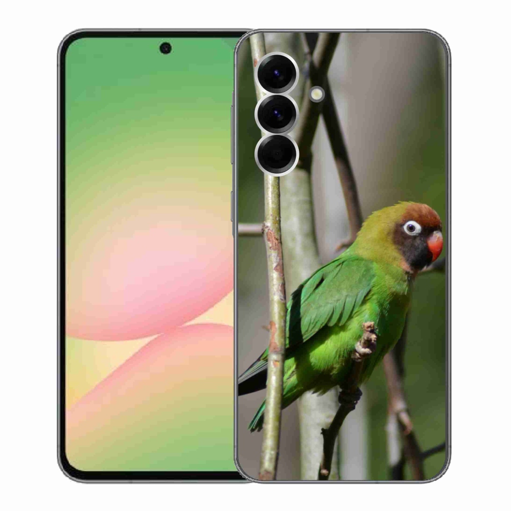 Gelový kryt mmCase na Samsung Galaxy A56 5G - papoušek agapornis