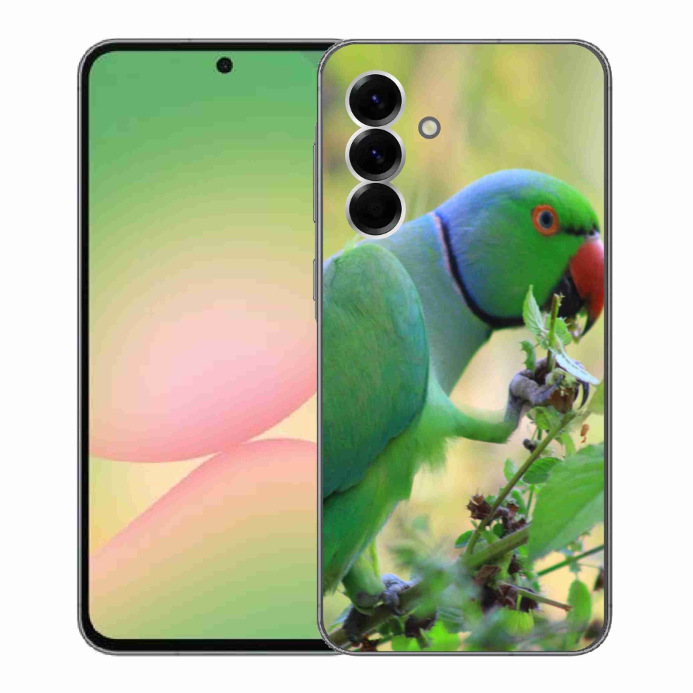 Gelový kryt mmCase na Samsung Galaxy A56 5G - papoušek alexandr