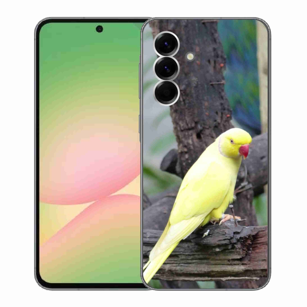 Gelový kryt mmCase na Samsung Galaxy A56 5G - papoušek alexandr žlutý