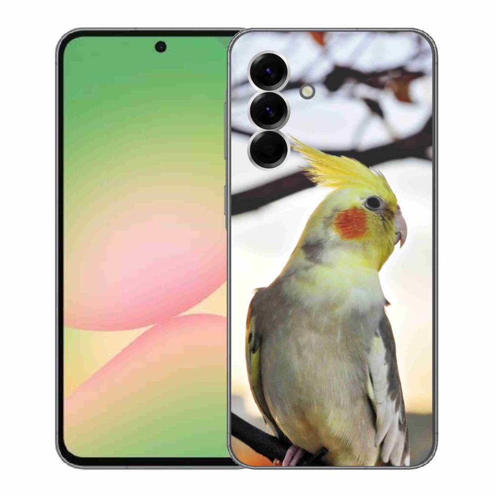 Gelový kryt mmCase na Samsung Galaxy A56 5G - papoušek korela