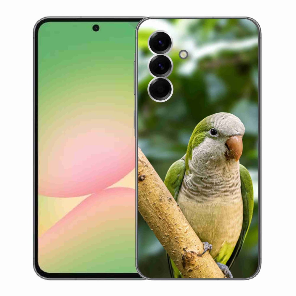 Gelový kryt mmCase na Samsung Galaxy A56 5G - papoušek mníšek