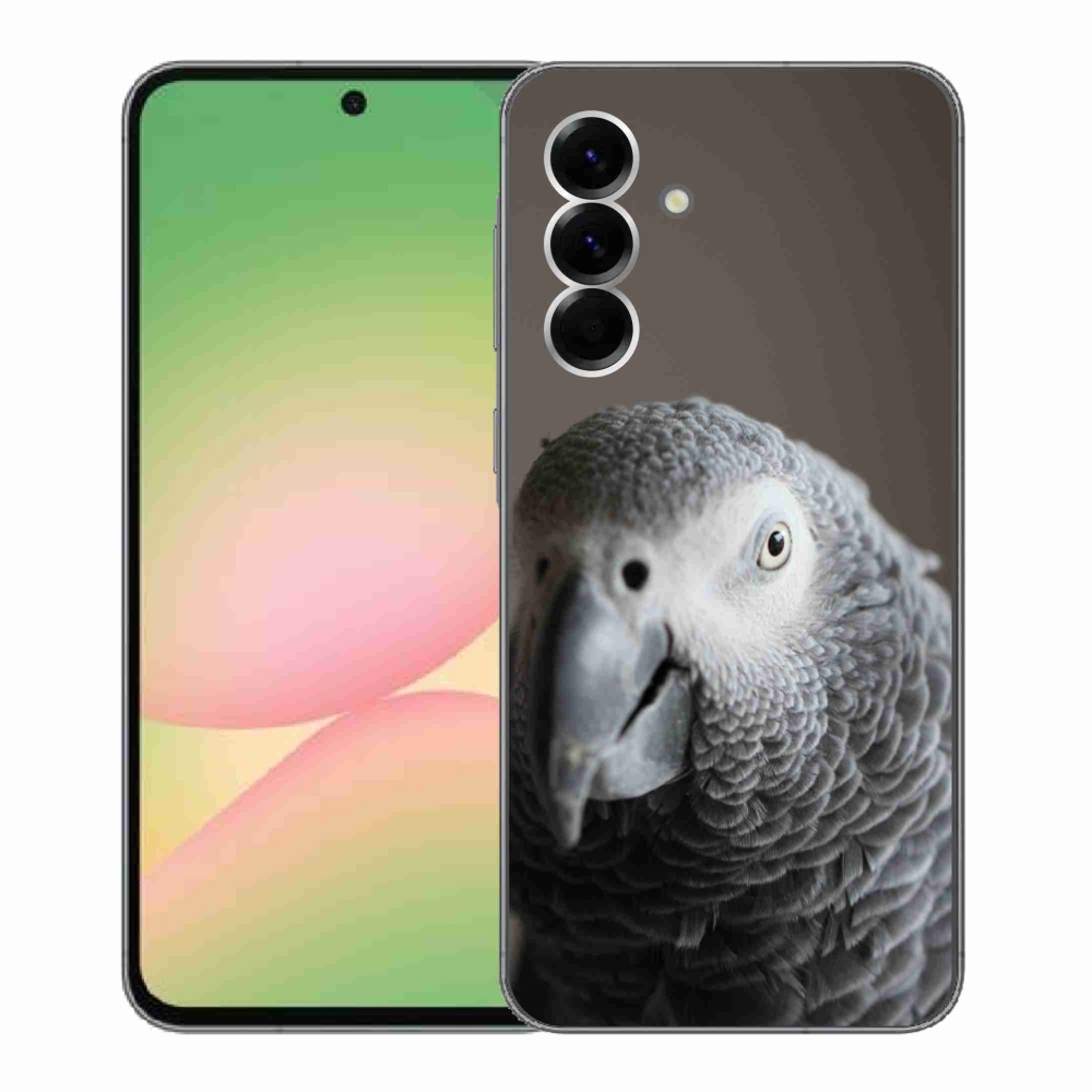 Gelový kryt mmCase na Samsung Galaxy A56 5G - papoušek žako 2