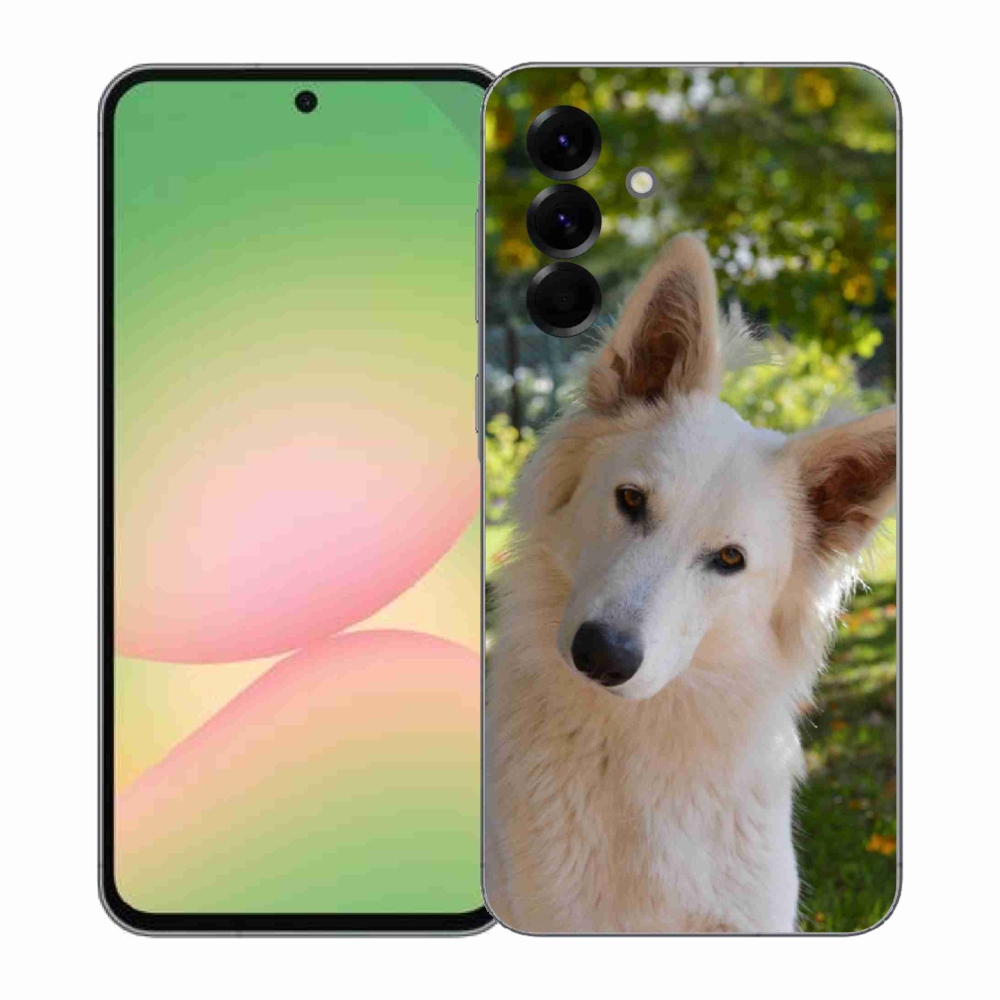 Gelový kryt mmCase na Samsung Galaxy A57 5G - bílý švýcarský ovčák 1