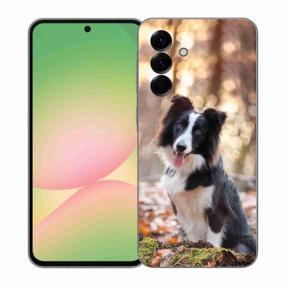 Gelový kryt mmCase na Samsung Galaxy A57 5G - border kolie 1