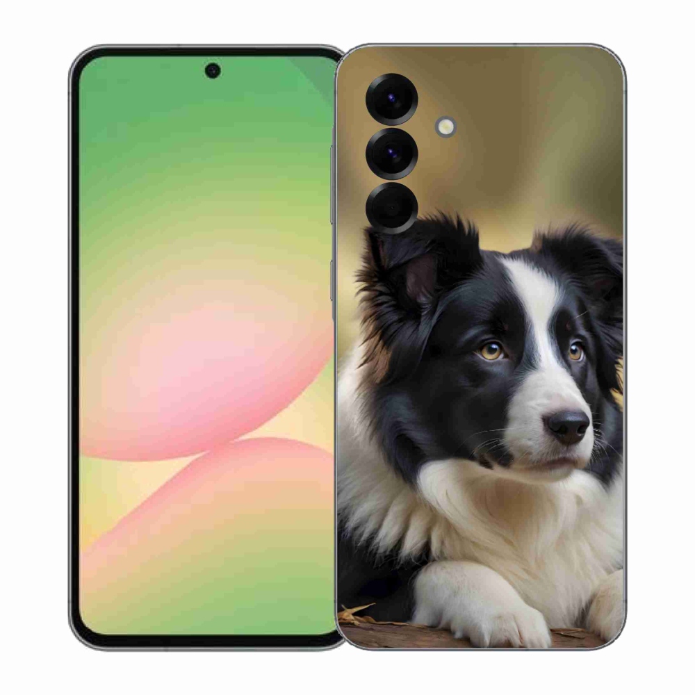 Gelový kryt mmCase na Samsung Galaxy A57 5G - border kolie 2