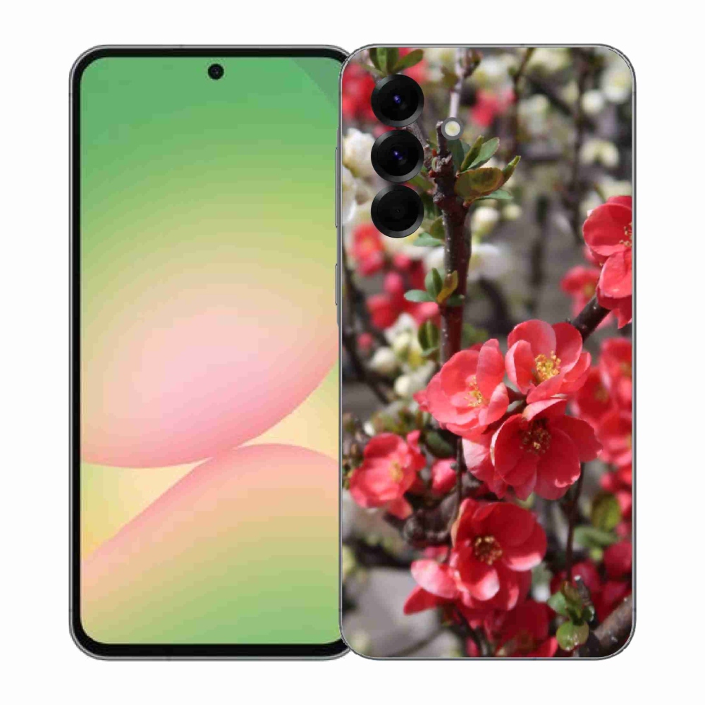 Gelový kryt mmCase na Samsung Galaxy A57 5G - červené květy