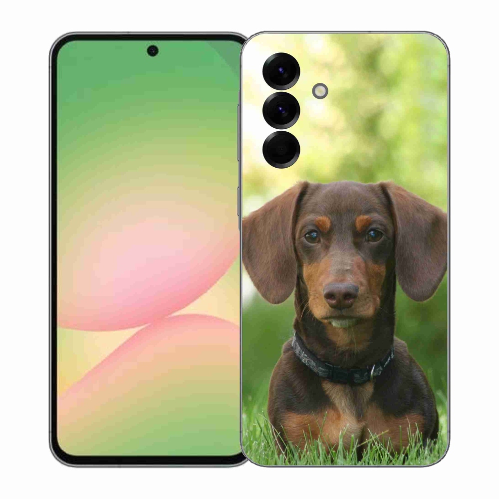 Gelový kryt mmCase na Samsung Galaxy A57 5G - hnědý jezevčík