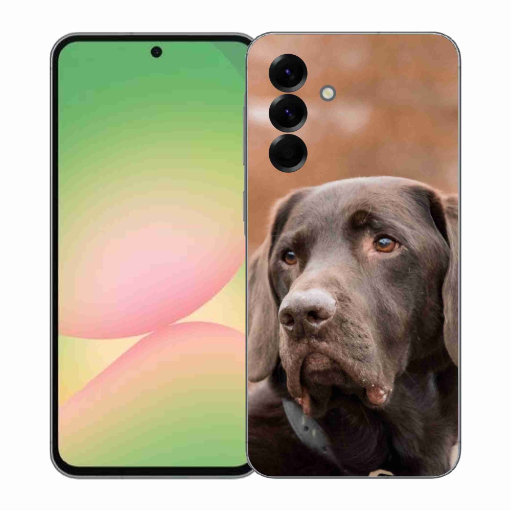 Gelový kryt mmCase na Samsung Galaxy A57 5G - hnědý labrador