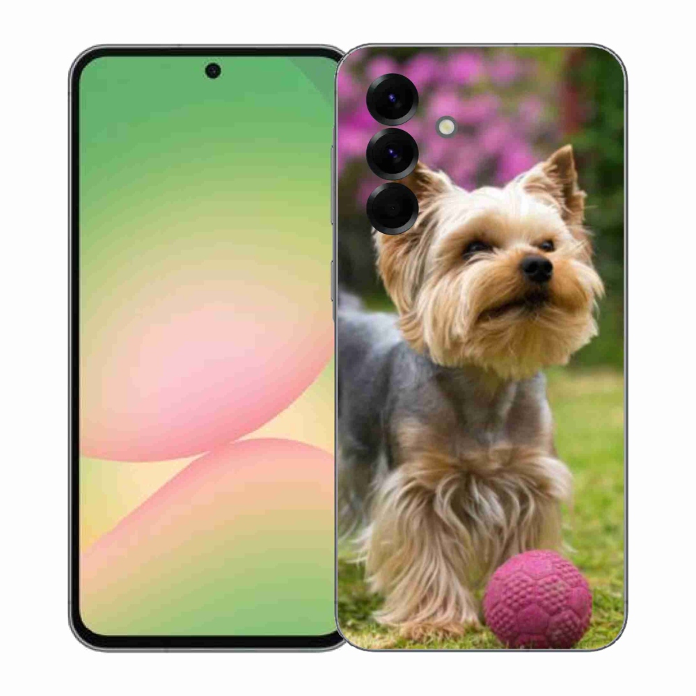 Gelový kryt mmCase na Samsung Galaxy A57 5G - jorkšír 4