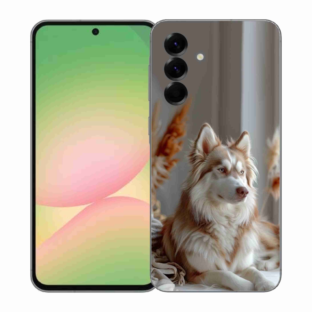 Gelový kryt mmCase na Samsung Galaxy A57 5G - klidný sibiřský husky