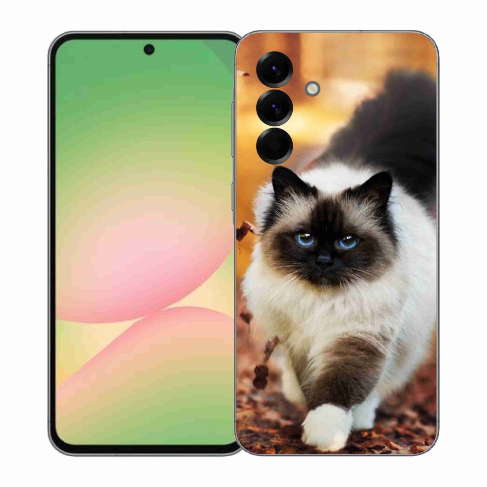 Gelový kryt mmCase na Samsung Galaxy A57 5G - kočka