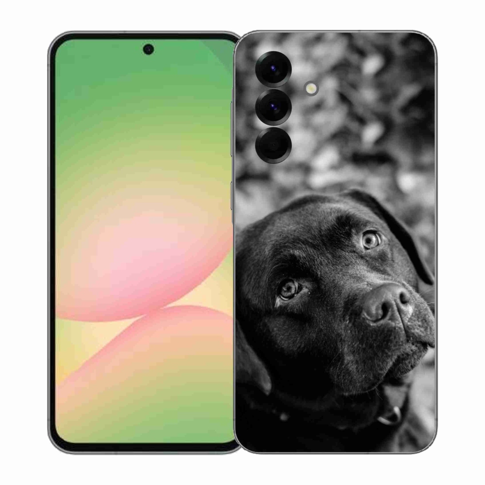 Gelový kryt mmCase na Samsung Galaxy A57 5G - labrador