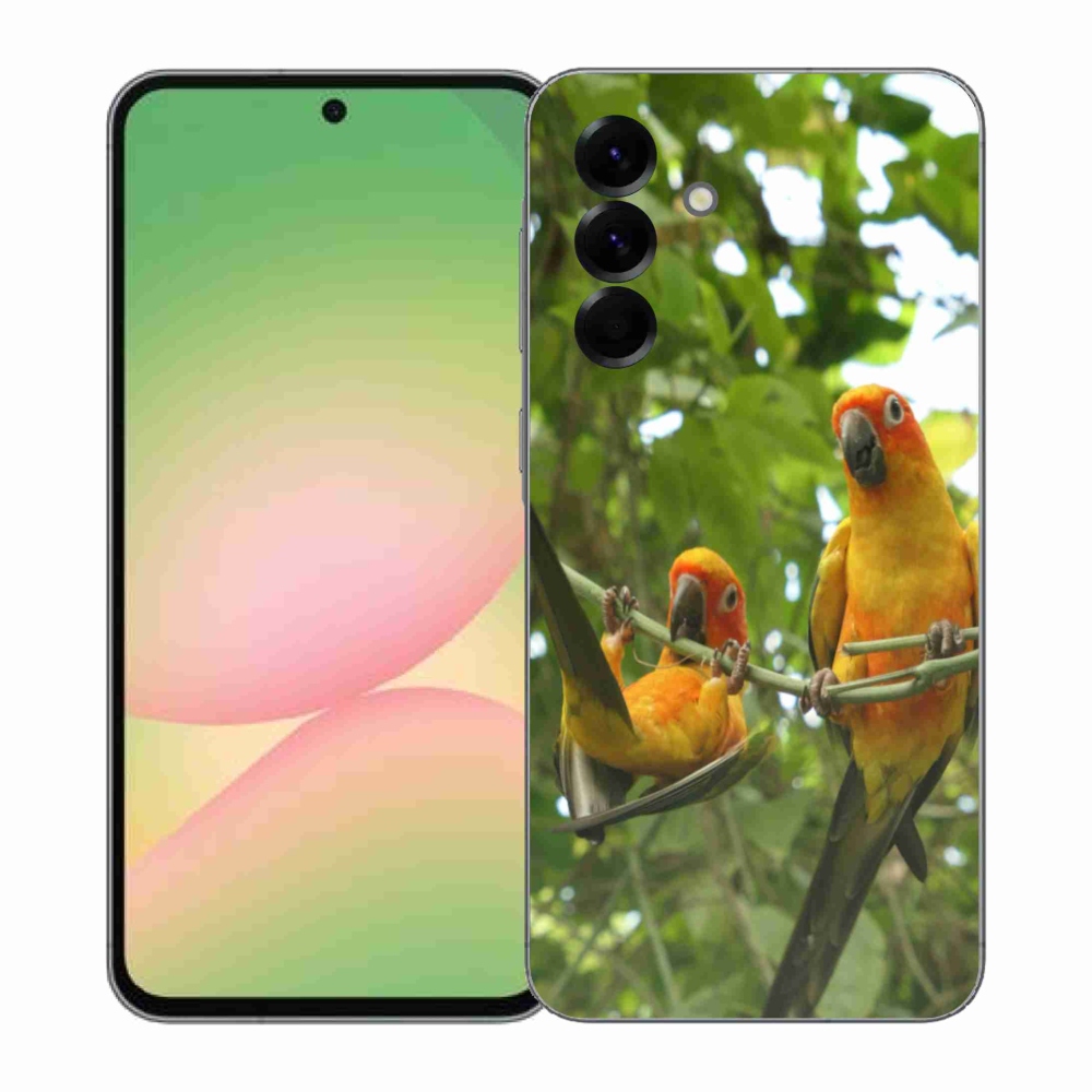 Gelový kryt mmCase na Samsung Galaxy A57 5G - papoušci aratingy