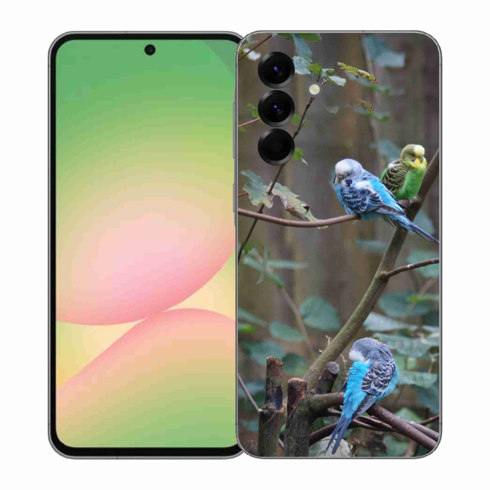 Gelový kryt mmCase na Samsung Galaxy A57 5G - papoušci na větvi