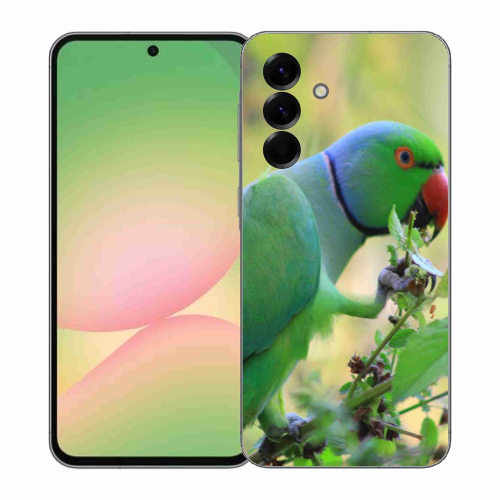 Gelový kryt mmCase na Samsung Galaxy A57 5G - papoušek alexandr