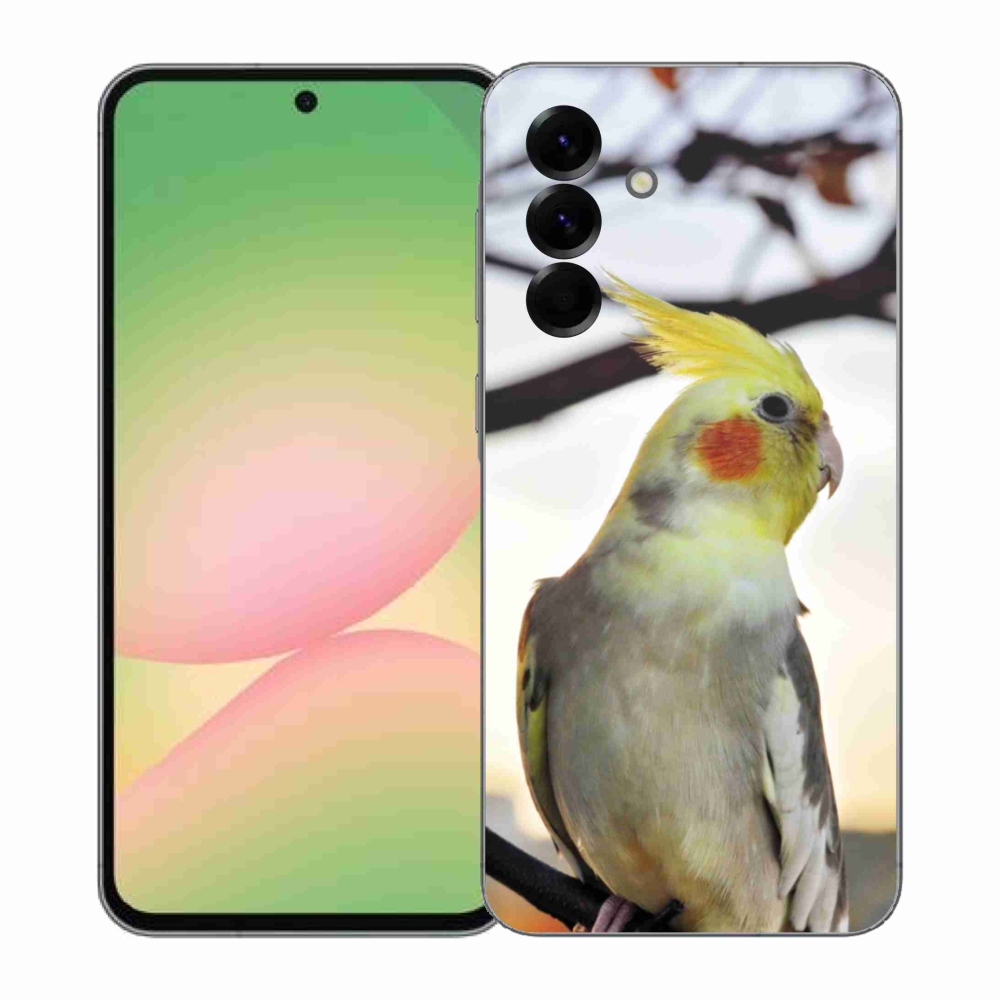 Gelový kryt mmCase na Samsung Galaxy A57 5G - papoušek korela