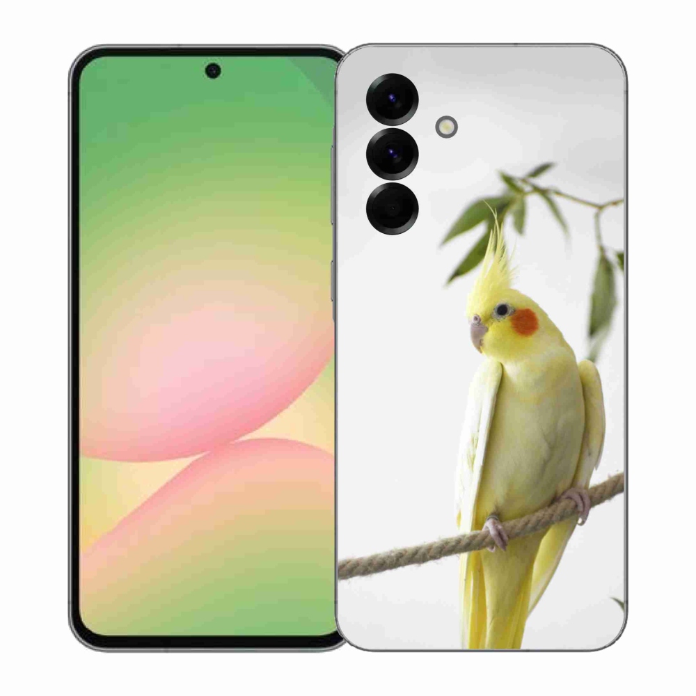 Gelový kryt mmCase na Samsung Galaxy A57 5G - papoušek korela chocholatá