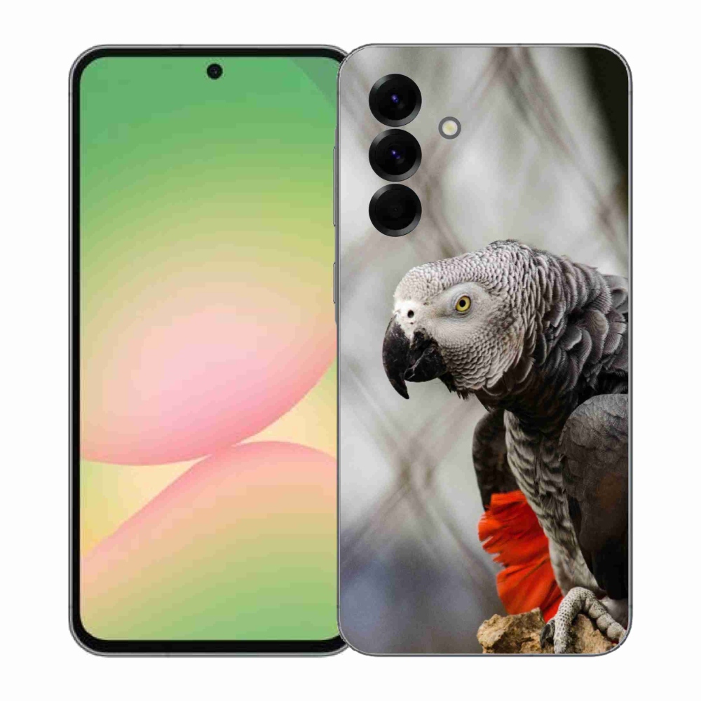 Gelový kryt mmCase na Samsung Galaxy A57 5G - papoušek žako 3