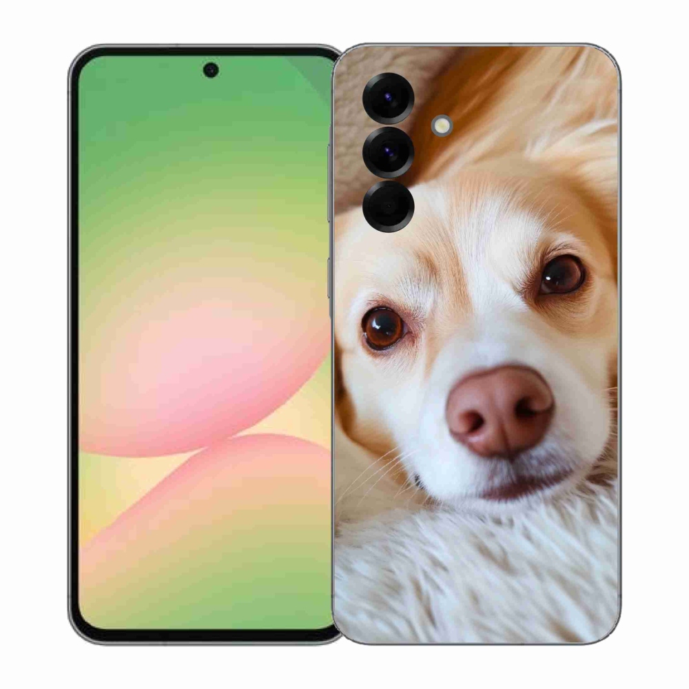 Gelový kryt mmCase na Samsung Galaxy A57 5G - Roztomilá čivava