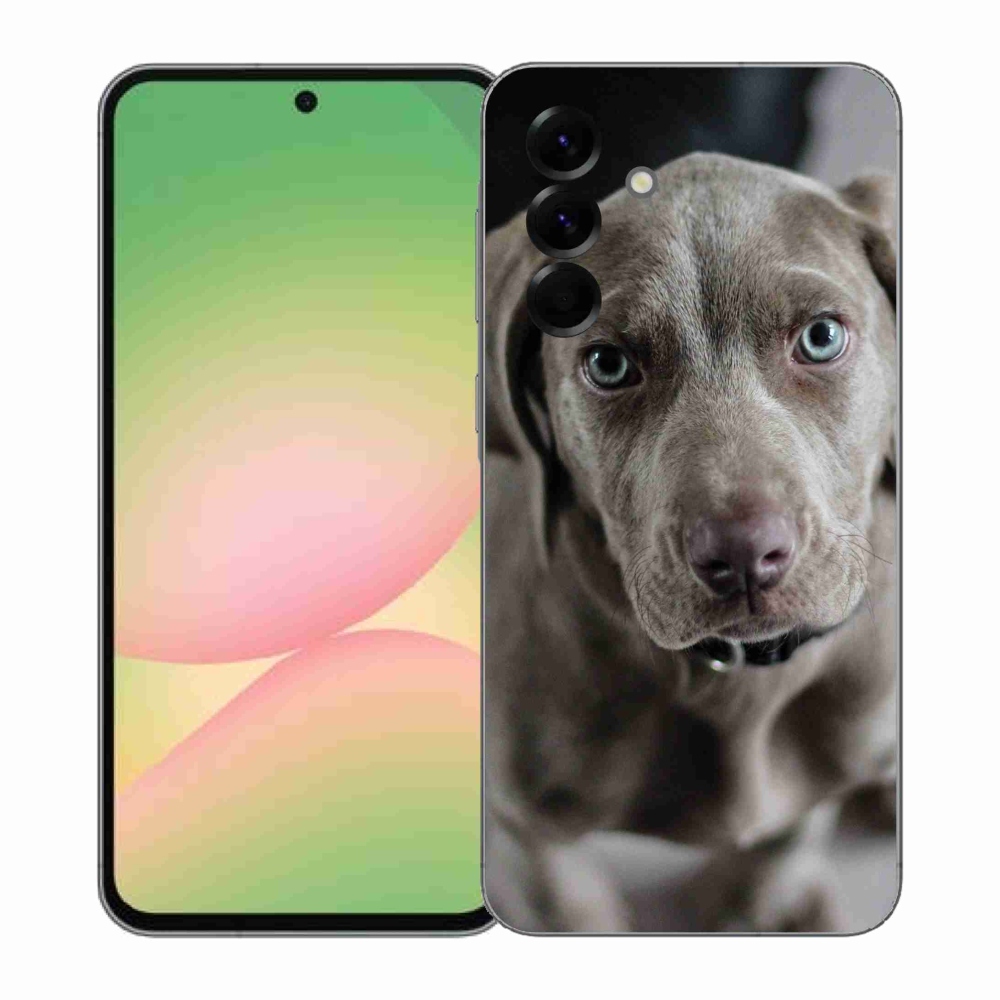 Gelový kryt mmCase na Samsung Galaxy A57 5G - výmarský ohař