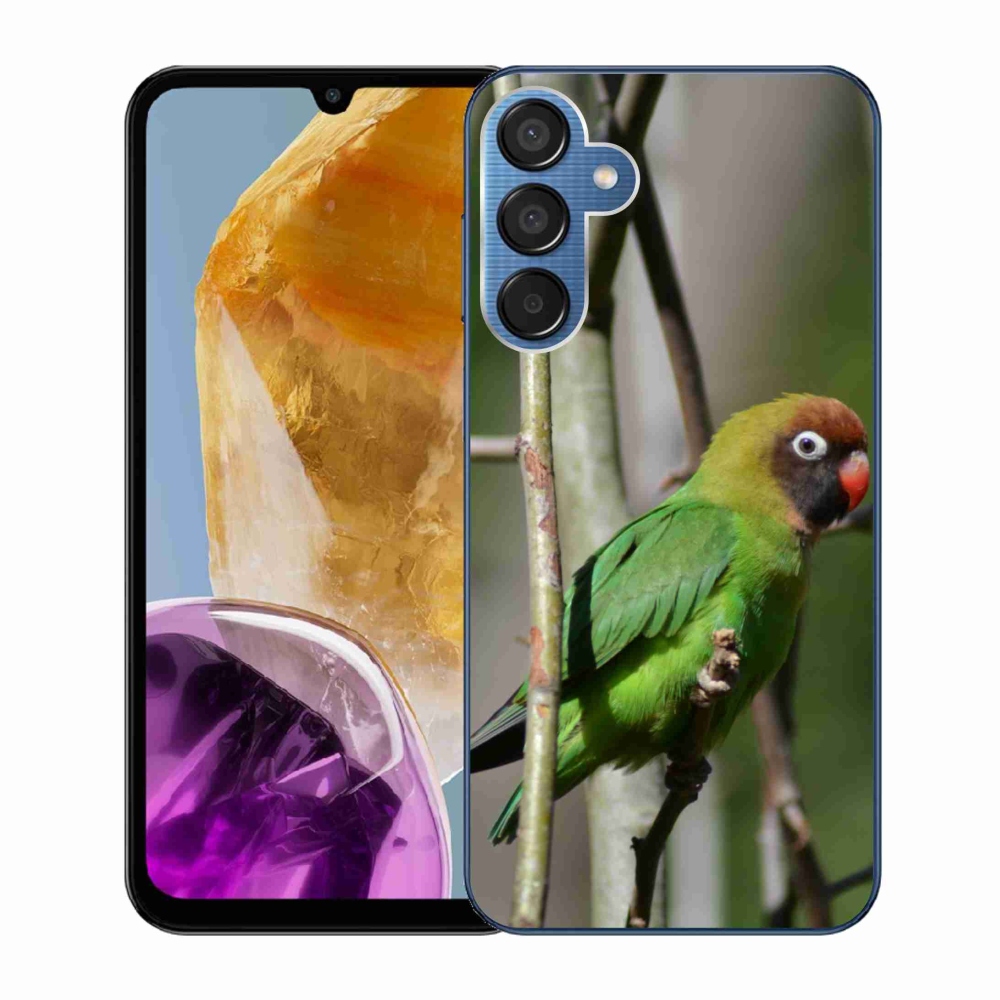 Gelový kryt mmCase na Samsung Galaxy M15 5G - papoušek agapornis