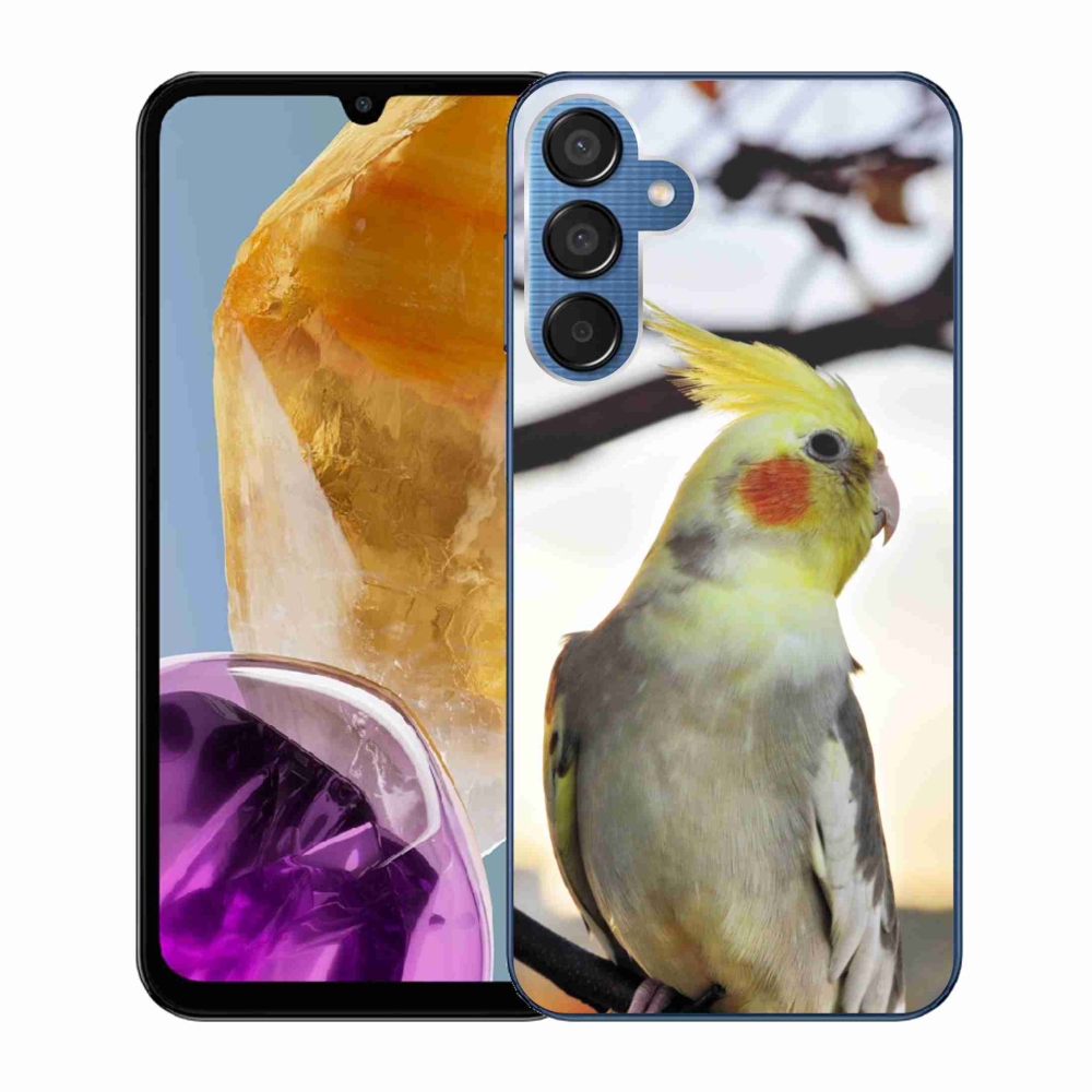 Gelový kryt mmCase na Samsung Galaxy M15 5G - papoušek korela