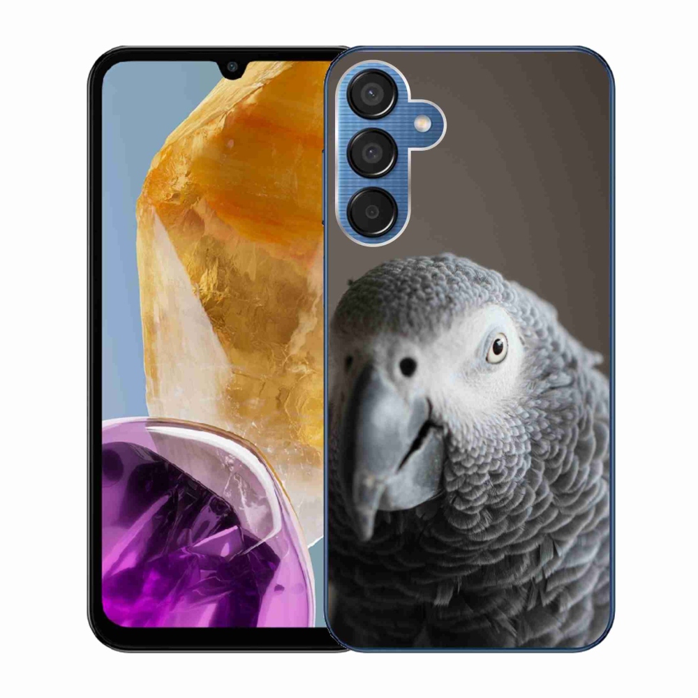 Gelový kryt mmCase na Samsung Galaxy M15 5G - papoušek žako 2