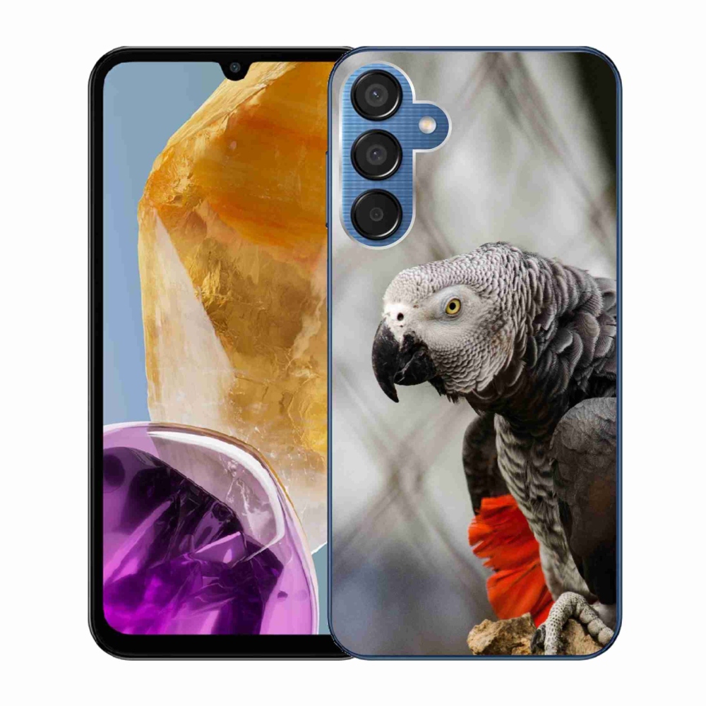 Gelový kryt mmCase na Samsung Galaxy M15 5G - papoušek žako 3