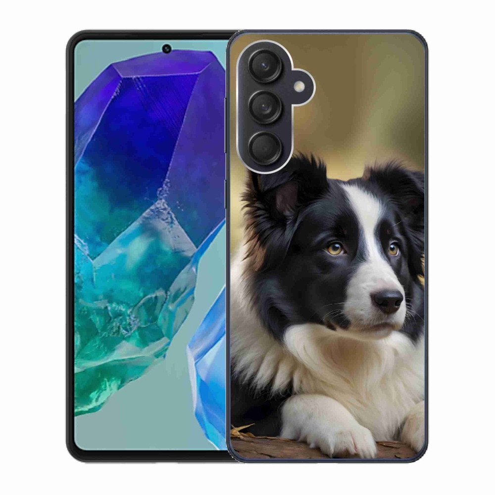 Gelový kryt mmCase na Samsung Galaxy M55 5G - border kolie 2