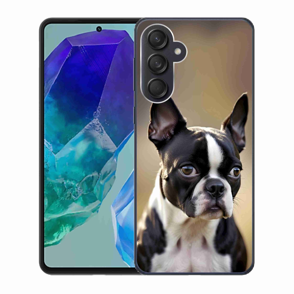 Gelový kryt mmCase na Samsung Galaxy M55 5G - bostonský teriér