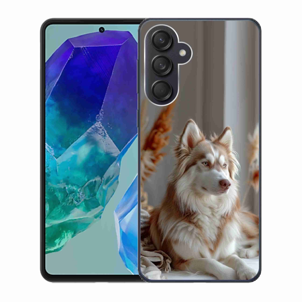 Gelový kryt mmCase na Samsung Galaxy M55 5G - klidný sibiřský husky