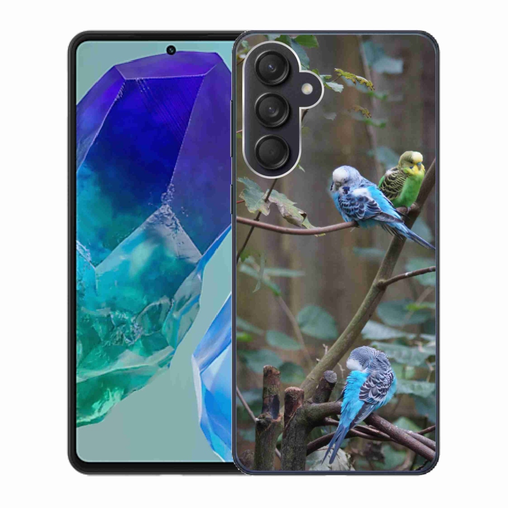 Gelový kryt mmCase na Samsung Galaxy M55 5G - papoušci na větvi