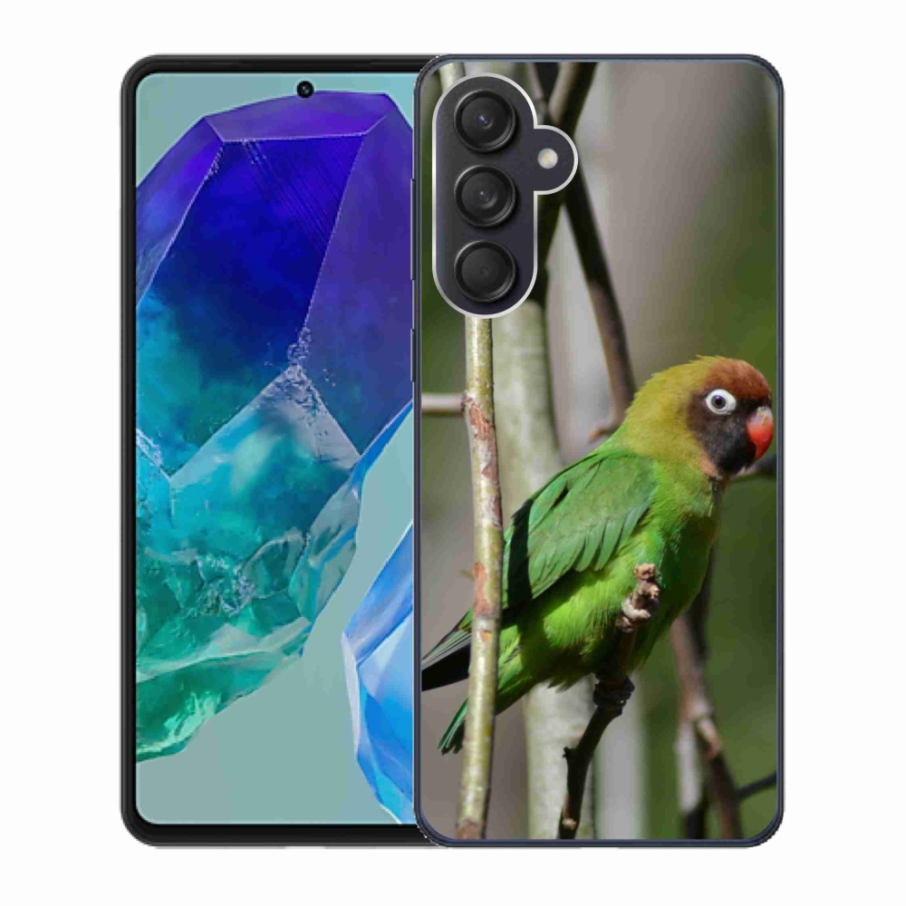 Gelový kryt mmCase na Samsung Galaxy M55 5G - papoušek agapornis