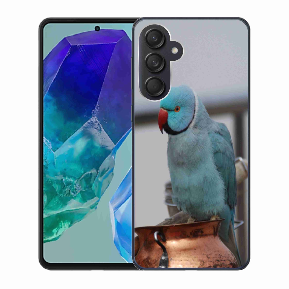Gelový kryt mmCase na Samsung Galaxy M55 5G - papoušek alexandr modrý