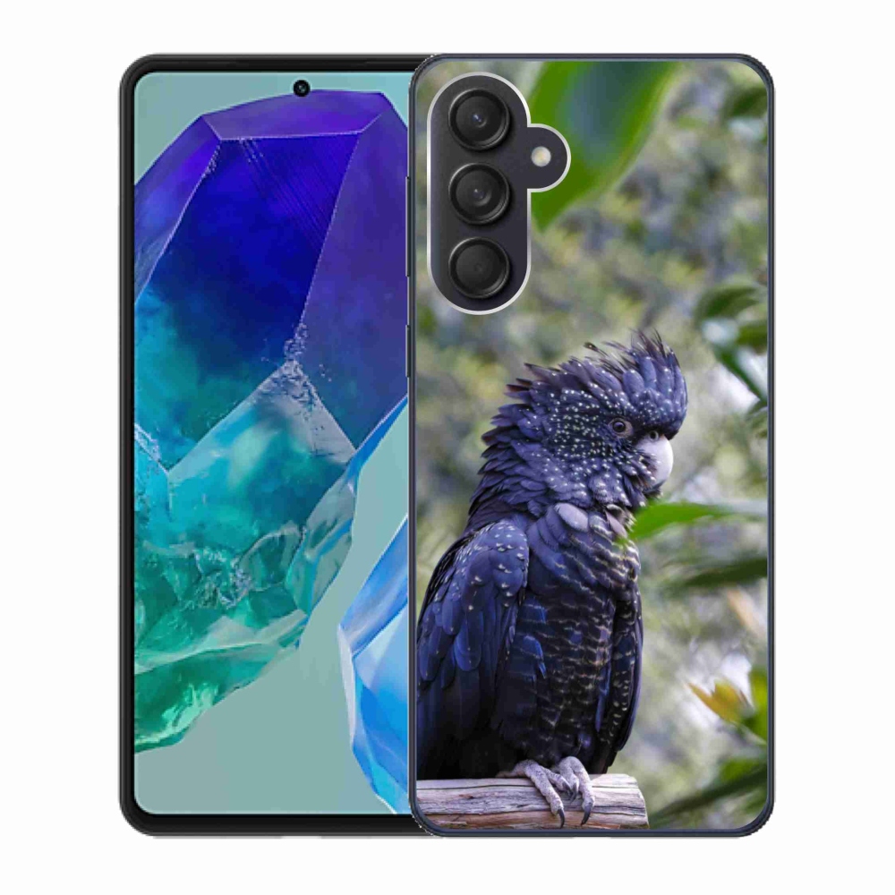 Gelový kryt mmCase na Samsung Galaxy M55 5G - papoušek kakadu černý