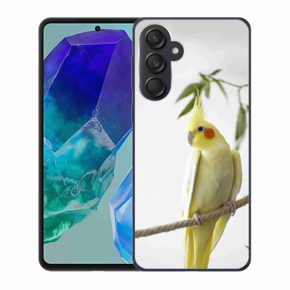 Gelový kryt mmCase na Samsung Galaxy M55 5G - papoušek korela chocholatá