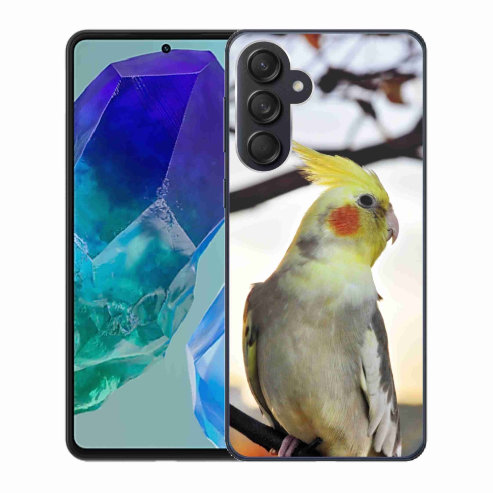 Gelový kryt mmCase na Samsung Galaxy M55 5G - papoušek korela