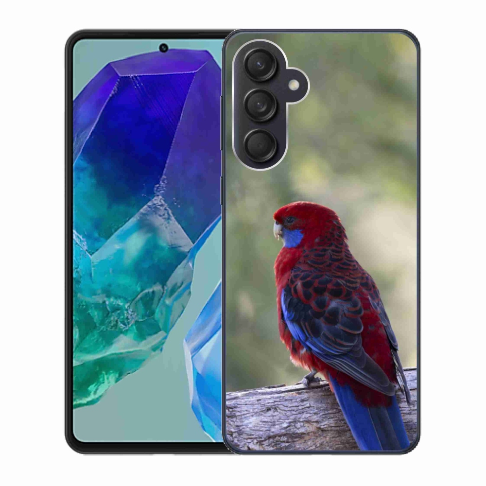 Gelový kryt mmCase na Samsung Galaxy M55 5G - papoušek rosela