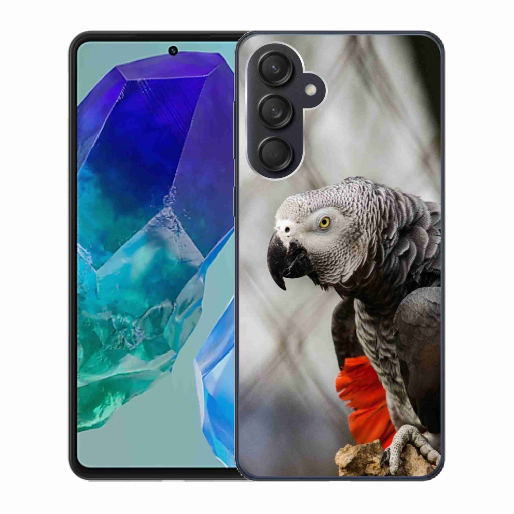 Gelový kryt mmCase na Samsung Galaxy M55 5G - papoušek žako 3