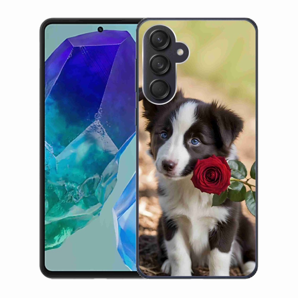 Gelový kryt mmCase na Samsung Galaxy M55 5G - roztomilá border kolie s růží