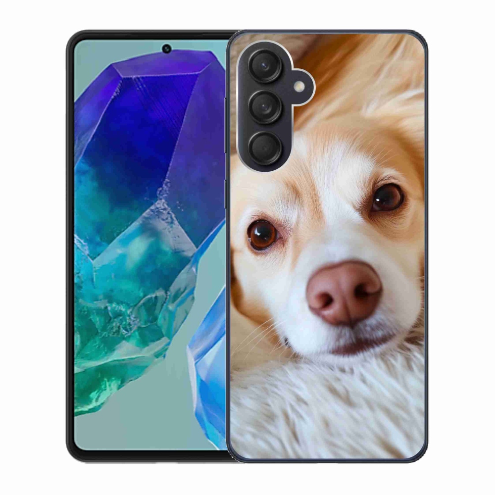 Gelový kryt mmCase na Samsung Galaxy M55 5G - Roztomilá čivava