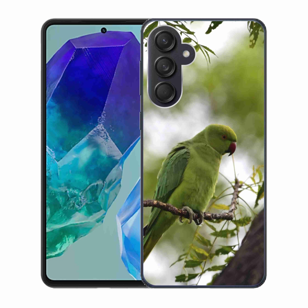 Gelový kryt mmCase na Samsung Galaxy M55 5G - zelený papoušek