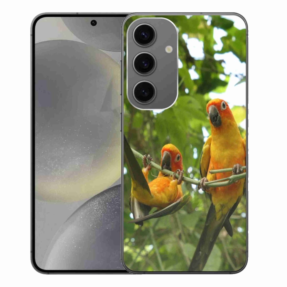Gelový kryt mmCase na Samsung Galaxy S24+ - papoušci aratingy