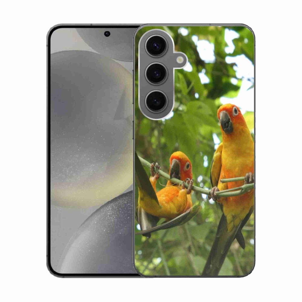 Gelový kryt mmCase na Samsung Galaxy S24 - papoušci aratingy