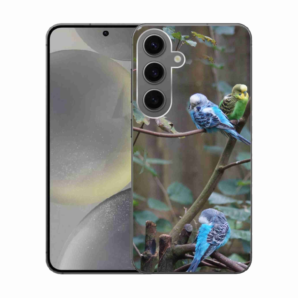 Gelový kryt mmCase na Samsung Galaxy S24 - papoušci na větvi