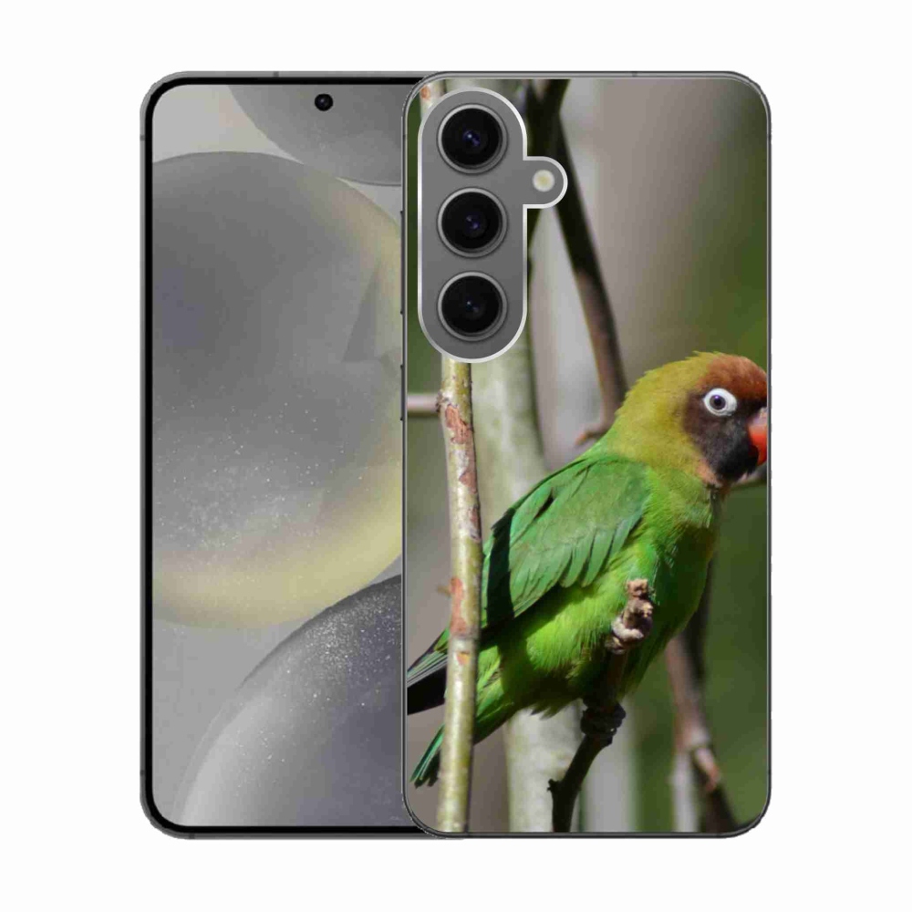 Gelový kryt mmCase na Samsung Galaxy S24 - papoušek agapornis