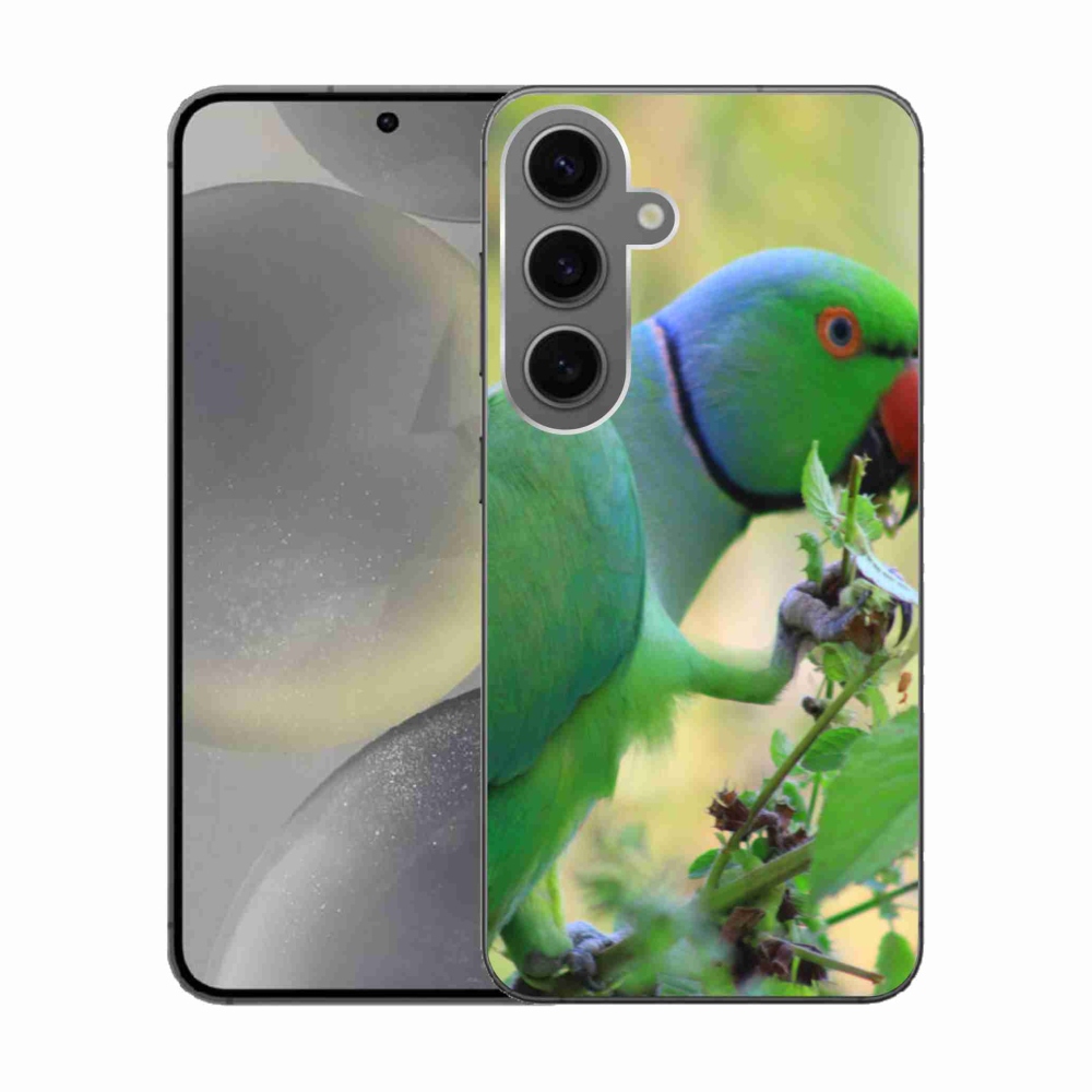 Gelový kryt mmCase na Samsung Galaxy S24 - papoušek alexandr