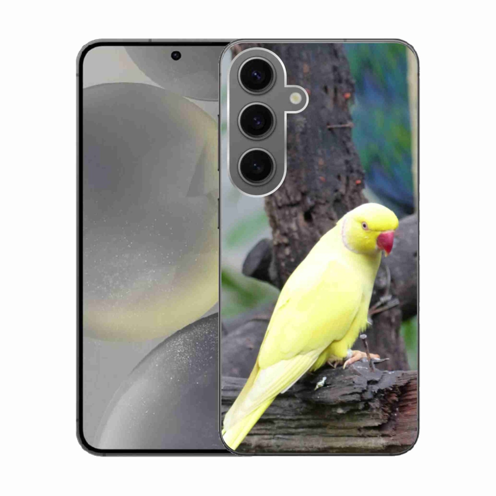 Gelový kryt mmCase na Samsung Galaxy S24 - papoušek alexandr žlutý