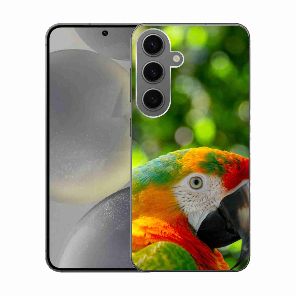 Gelový kryt mmCase na Samsung Galaxy S24 - papoušek ara 3